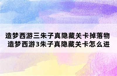 造梦西游三朱子真隐藏关卡掉落物 造梦西游3朱子真隐藏关卡怎么进